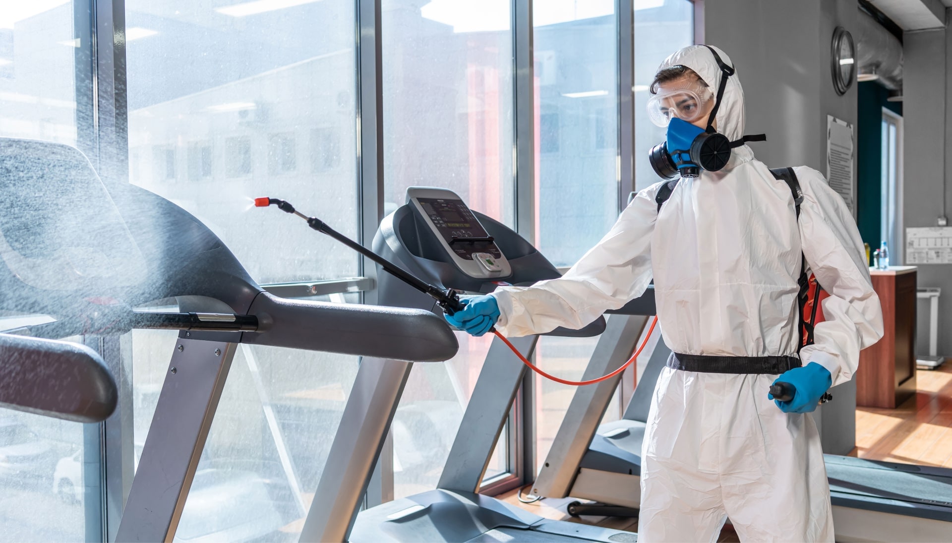Commercial Mold Removal Services in Lincoln