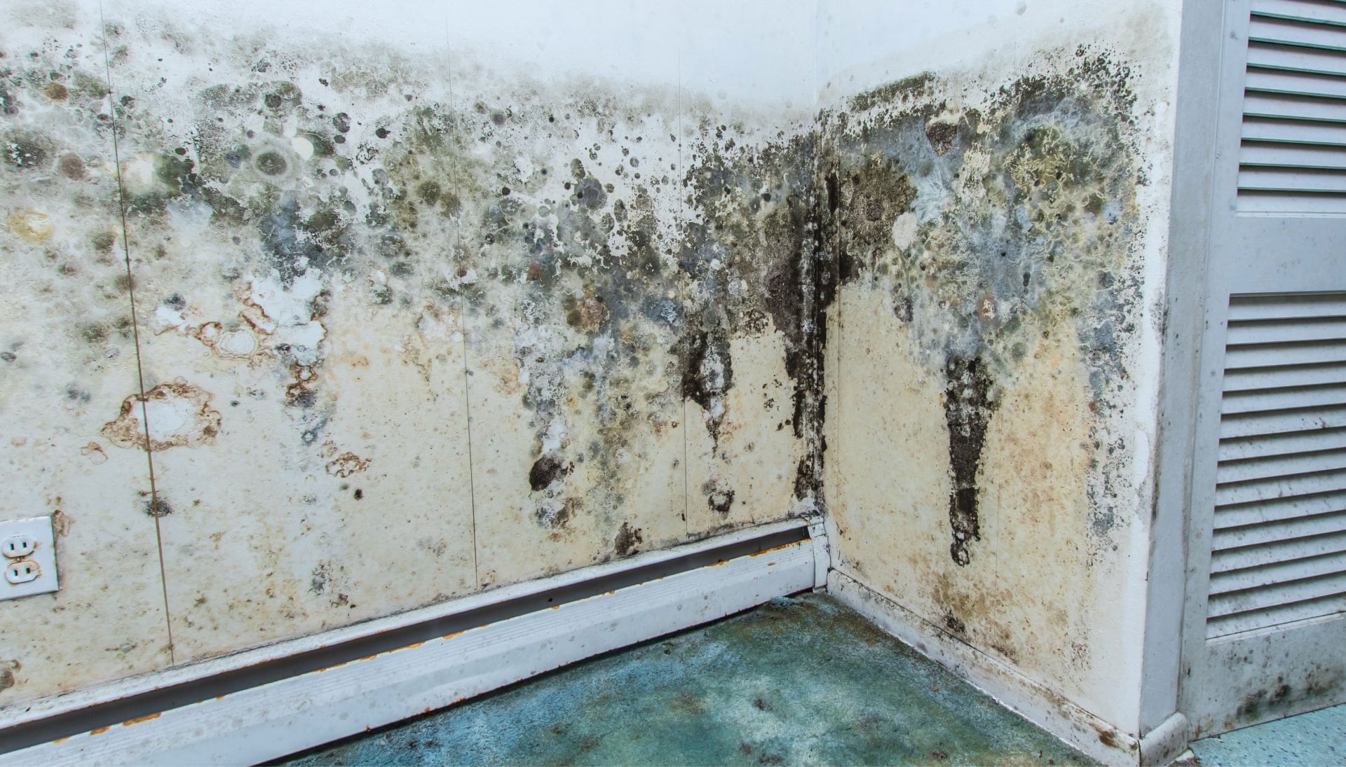 Mold Damager Odor Control Services in Lincoln